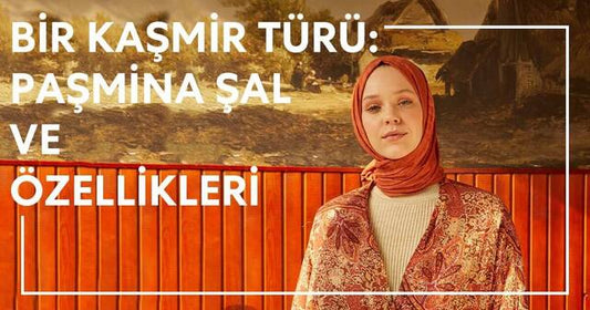 Bir Kaşmir Türü: Paşmina Şal ve Özellikleri