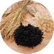 İç Tülbent & Topuz Tokası